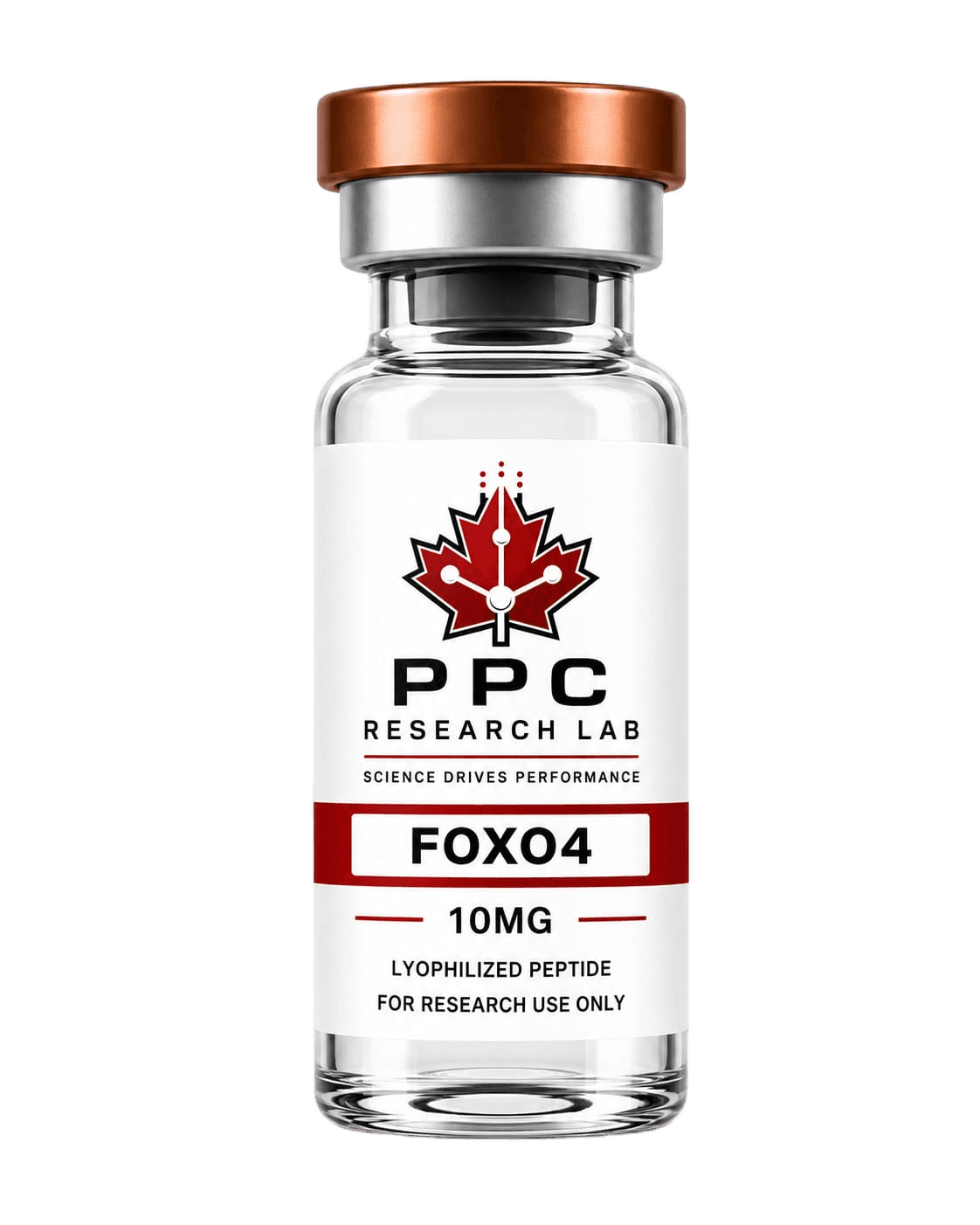 FOXO4 10MG