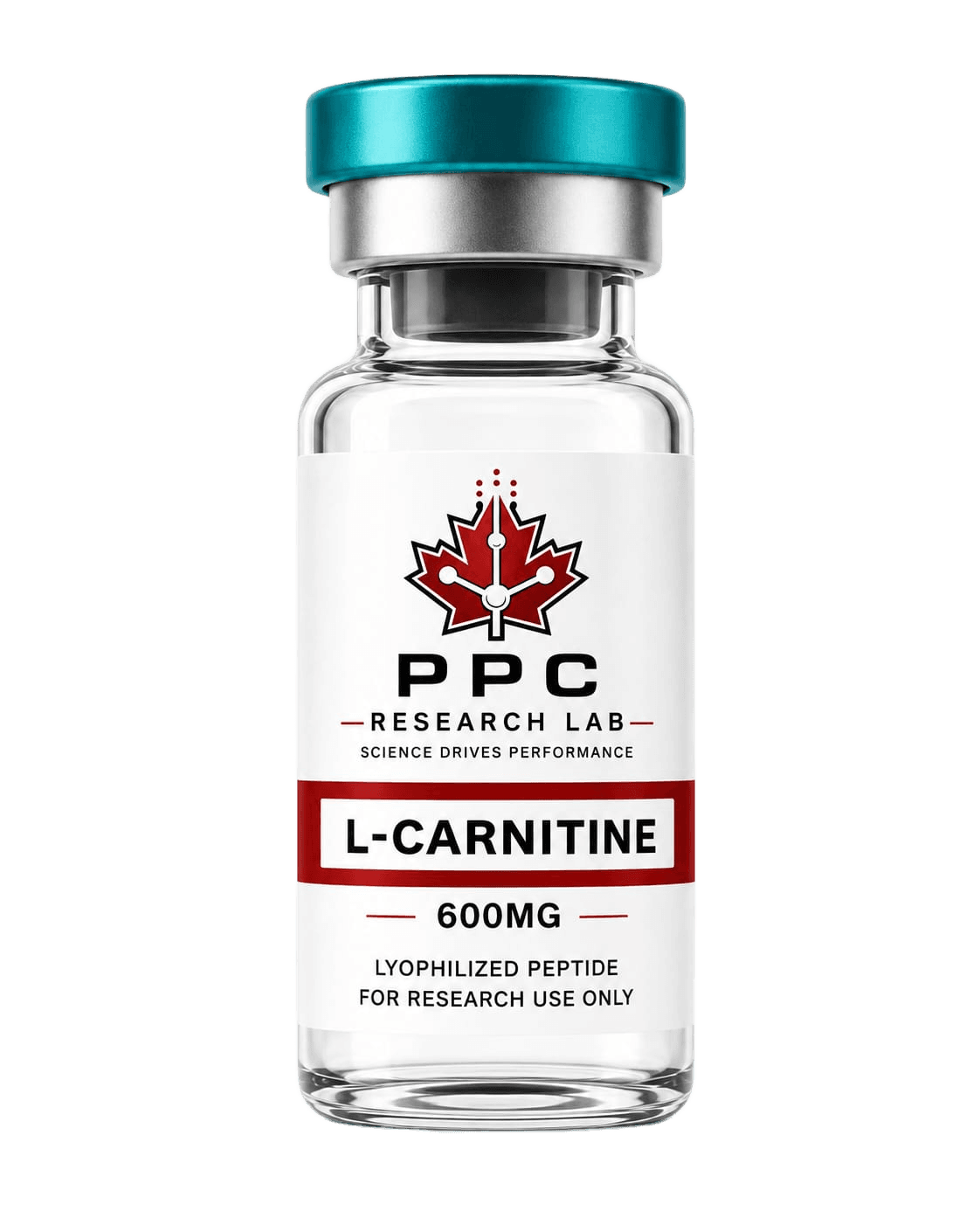 L-CARNITINE 600MG