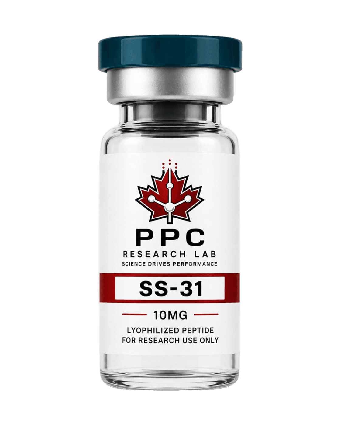 SS-31 10MG